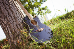 a guitar under the tree