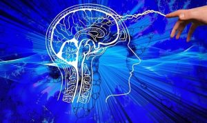 stimulated brain